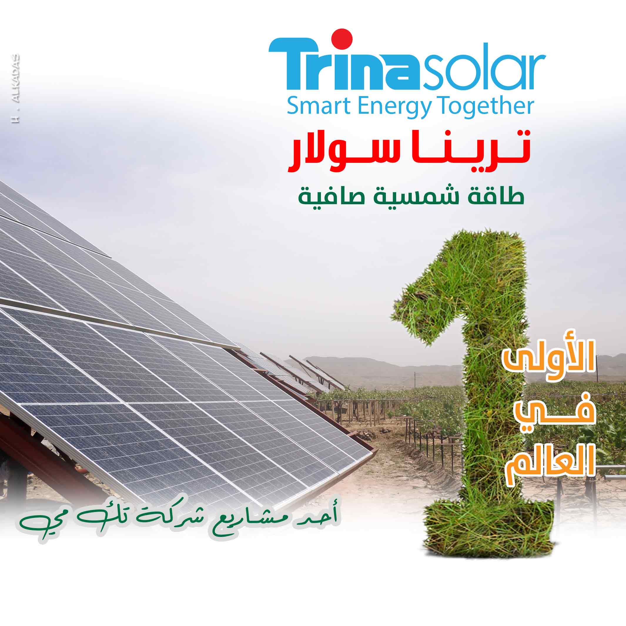 مركب عريضة وصفة  ترينا سولار ألواح شمسية الأولى في أغلب دول العالم - شركة تك مي لحلول الطاقة  الشمسية والمضخات الزراعية